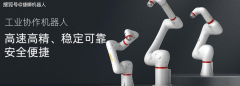 RA机械人市占率25%